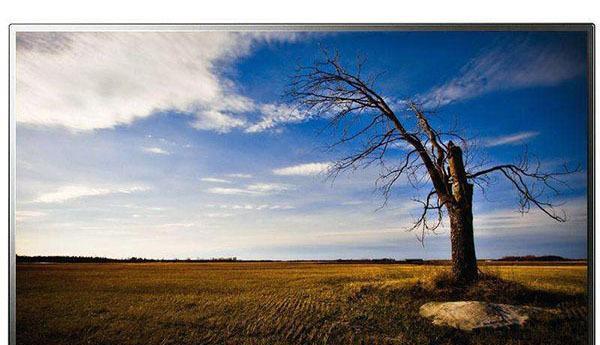 Redis 生死簿是如何删除数据的?